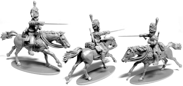 French Napoleonic Dragoons