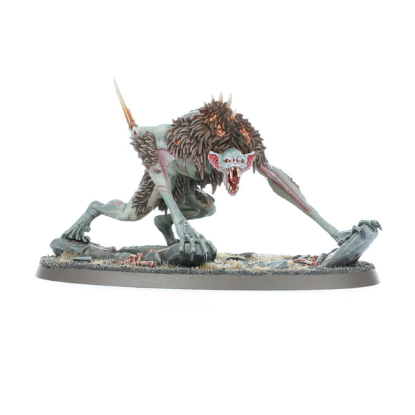 FLESH-EATER COURTS ARMY SET