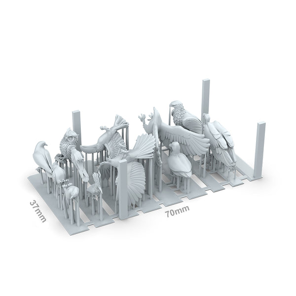 BIRDS – AK BASING BITS