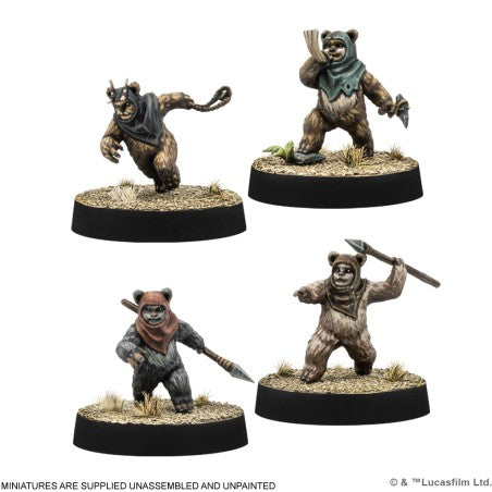 EWOK WARRIORS