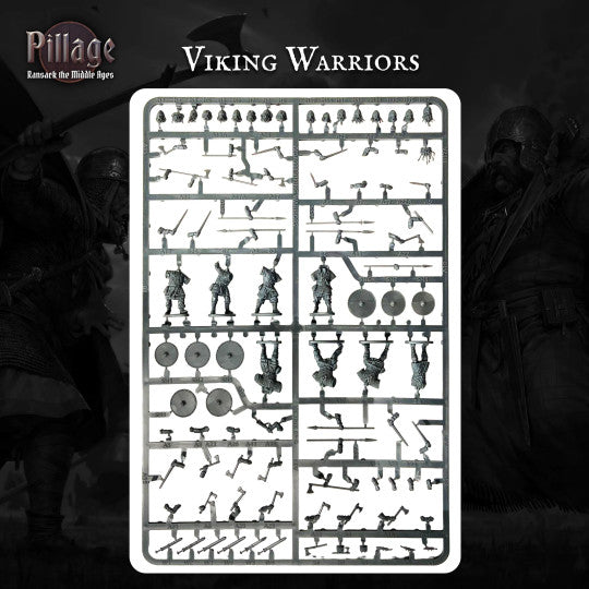 Pillage Introductory Set