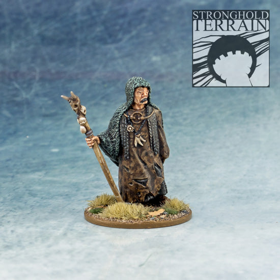 Seer (SAGA Pagan Priest)