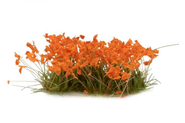 Orange Flowers- Wild