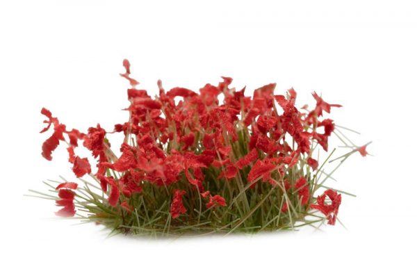 Red Flowers - Wild