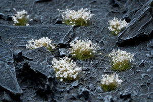 White Flowers - Wild